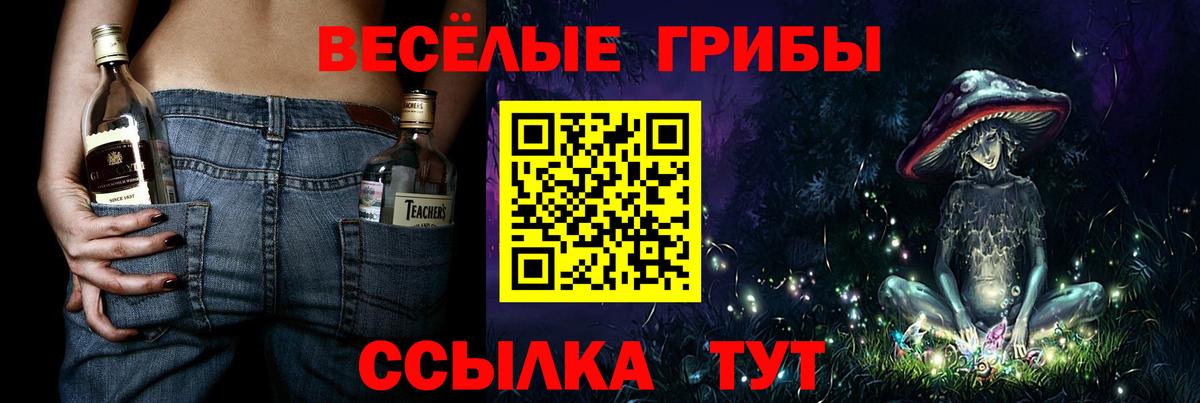 Псилоцибиновые грибы Psilocybe Касимов